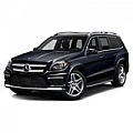 GL X166 NTG 5.0 (2016-2019)